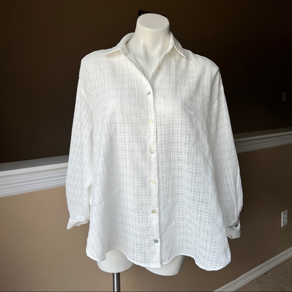 ZARA Women’s Button Down Blouse